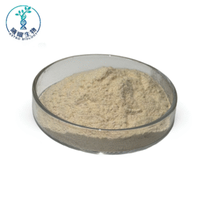 Nano White Kidney Bean Dietary Fiber | Wholesale Manufacturer