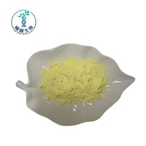  Scutellaria Baicalensis Extract | Factory Supply High Purity Natural Plant Extract