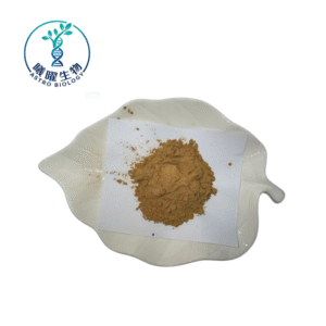 Cordyceps Militaris Extract Manufacturer | Water-Soluble Natural Health Raw Material