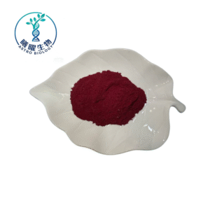 Bulk Dragon's Blood Extract Powder - B2B Wholesale