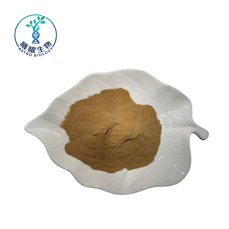 Ganoderma Lucidum Extract