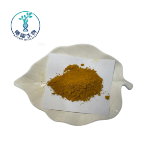 Phellinus Igniarius Extract | Sanghuang Polysaccharide Powder