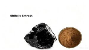shilajit raw rock mineral source Himalayan high altitude