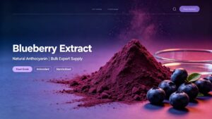 Dark purple black standardized blueberry extract powder with natural anthocyanin, food grade raw material for supplement and cosmetic bulk export