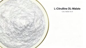 Micro detail shot of L-Citrulline DL-Malate fine powder, high purity complex amino acid CAS 16856-16-9 smooth texture without coarse crystal particles