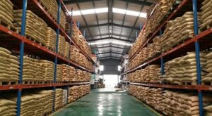 L-Cystine bulk raw material warehouse storage, sufficient stock for large export orders