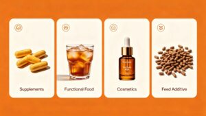 Multi-industry application of standardized curcumin 95% powder, nutraceutical cosmetic food animal feed raw material display
