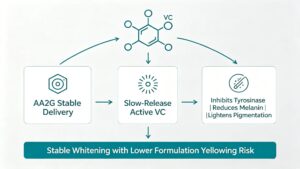 Infographic of whitening & anti-photoaging mechanism of Ascorbyl Glucoside AA2G cosmetic raw material