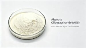 High purity Alginate Oligosaccharide (AOS) fine white powder in glass petri dish, natural algae raw material for food cosmetic pharmaceutical industry
