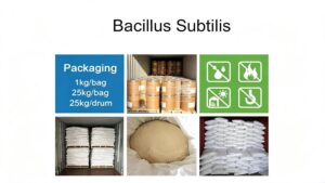 Bacillus Subtilis multiple export packaging 1kg bag 25kg drum, warehouse bulk stock and storage precautions