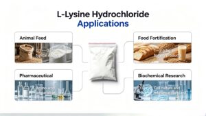 L-Lysine HCl industrial applications for animal feed, food fortification, pharmaceutical and biochemical research