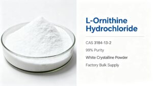 L-Ornithine Hydrochloride CAS 3184-13-2, 99% high purity white crystalline powder, raw material for pharmaceutical and dietary supplement