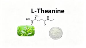 L-Theanine CAS 3081-61-6 molecular structure, green tea extract raw material banner
