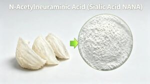 N-Acetylneuraminic Acid Sialic Acid NANA raw material powder, synthetic bird nest extract substitute, white crystalline powder for supplement cosmetic pharmaceutical