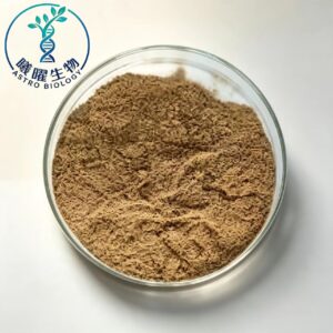 Paecilomyces hepiali fermentation broth powder, brown fine fungal raw material for dietary supplement