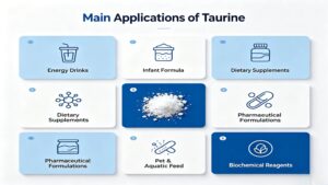 Infographic of main applications of Taurine CAS 107-35-7, energy drinks, infant formula, dietary supplements, pet feed, pharmaceuticals, biochemical reagents