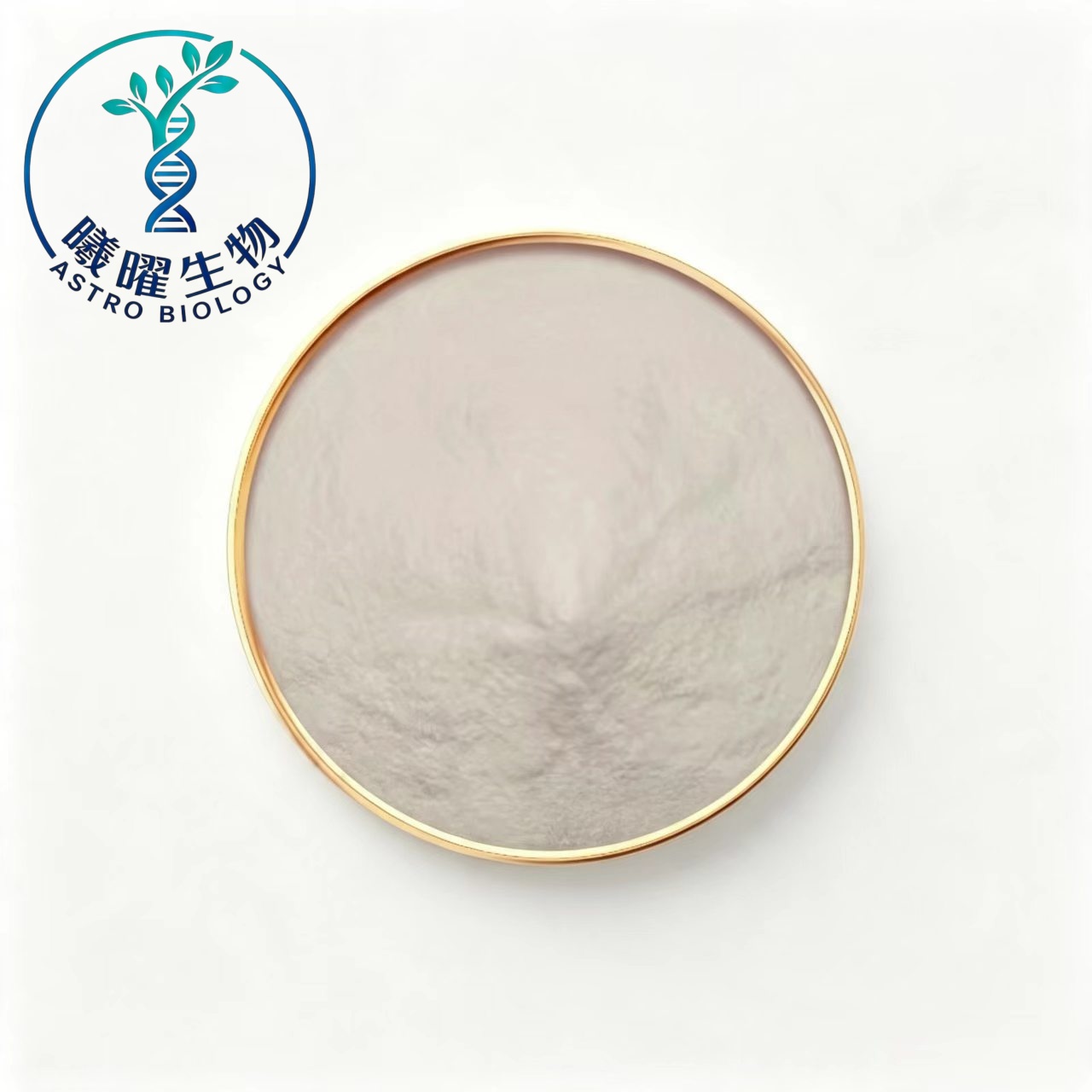 creatine-pyruvate-cas-55965-97-4-white-powder.jpg _副本