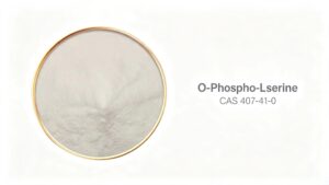 O-Phospho-L-serine CAS 407-41-0 fine white powder in glass petri dish, biochemical research raw material