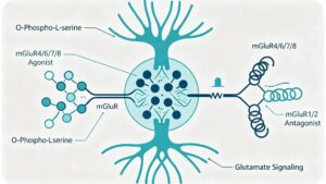 o-phospho-l-serine-mglur-signaling-mechanism-diagram.jpg