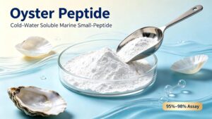 Oyster Peptide banner, cold‑water soluble marine small‑peptide raw material for dietary supplement