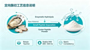Oyster Peptide directional enzymatic hydrolysis production process, marine peptide manufacture