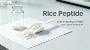 Food grade rice peptide white powder, raw material sample in glass jar for bulk supply 
