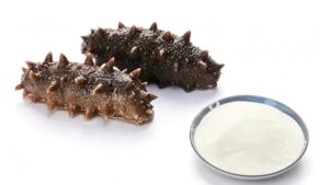  Raw sea cucumber and extracted sea cucumber peptide powder, raw material source display 
